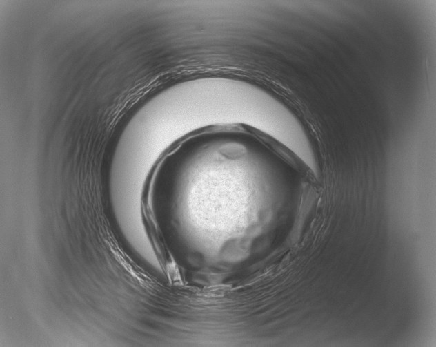 X0000085800405200703301503