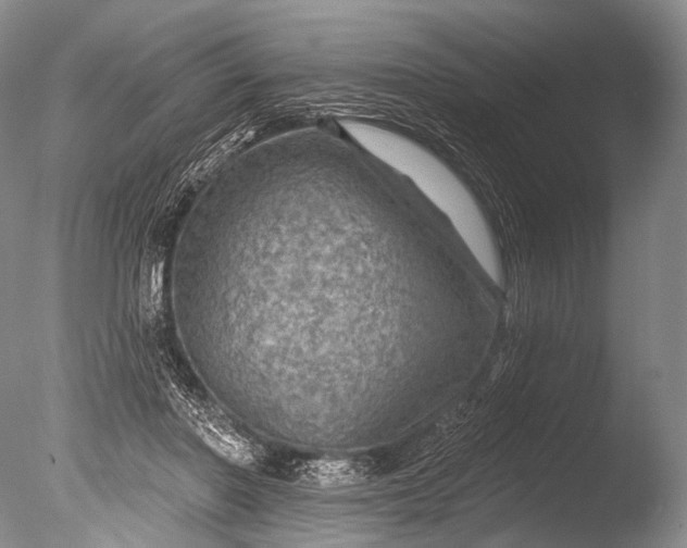 X0000085800406200703301503