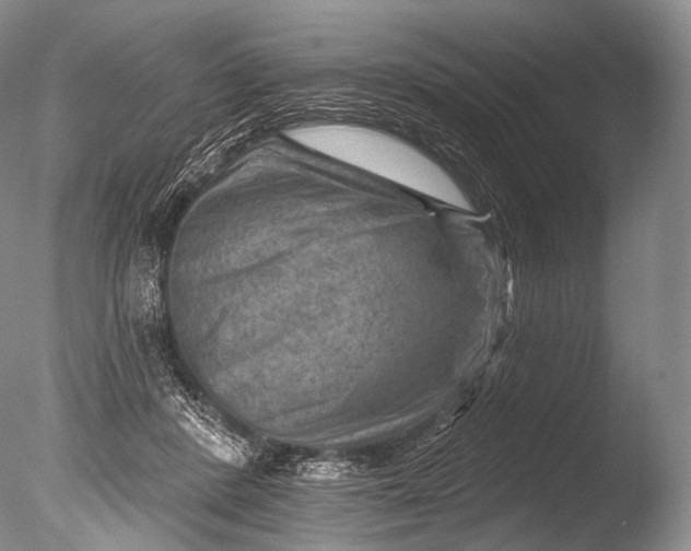 X0000085800408200703301503