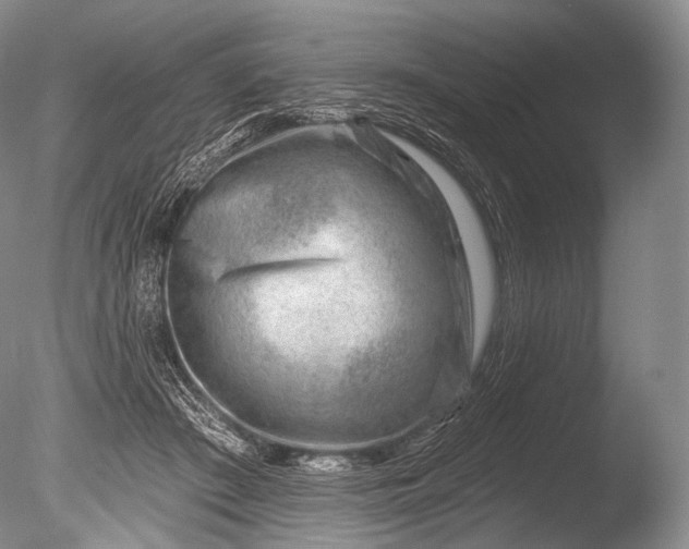 X0000085800409200703301503