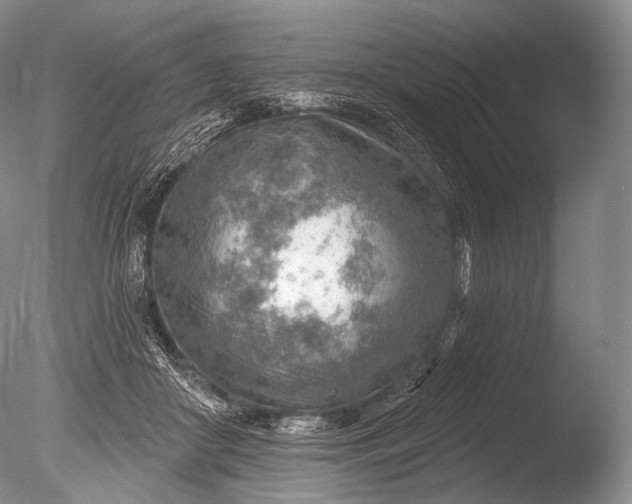 X0000085800410200703301503