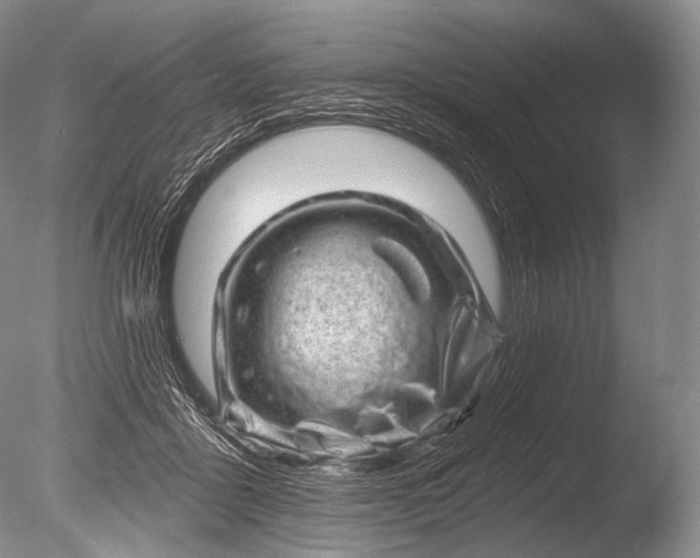 X0000085800411200703301503