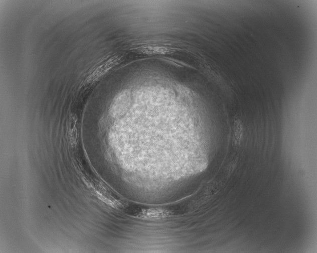 X0000085800414200703301503