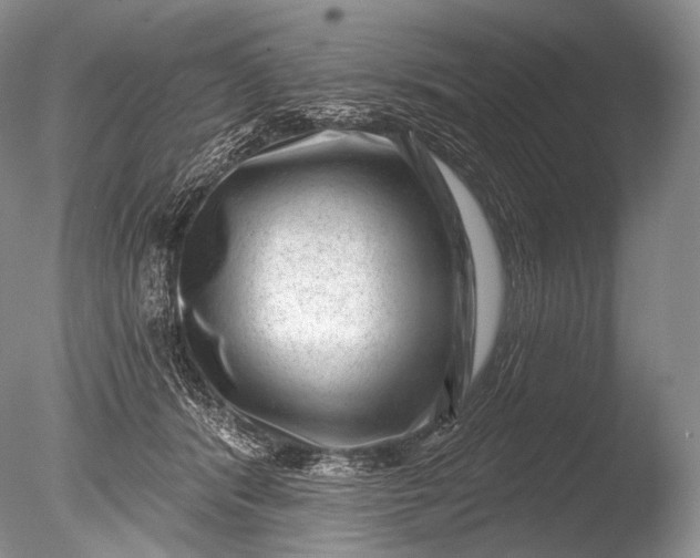 X0000085800416200703301503