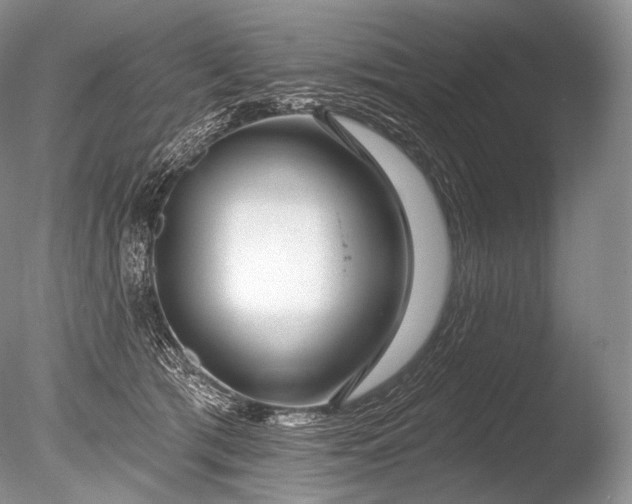 X0000085800417200703301503