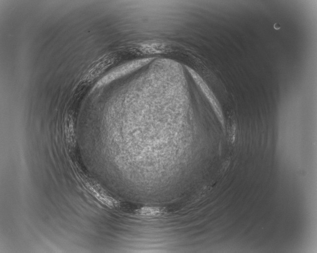 X0000085800418200703301503