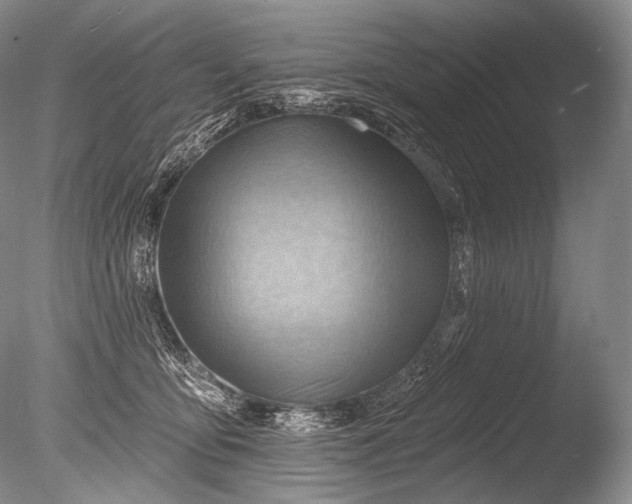 X0000085800419200703301503