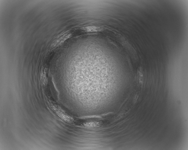 X0000085800422200703301503