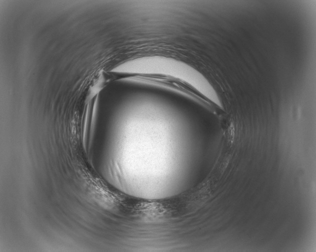 X0000085800424200703301503