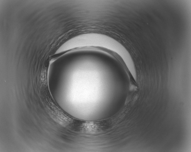 X0000085800425200703301503