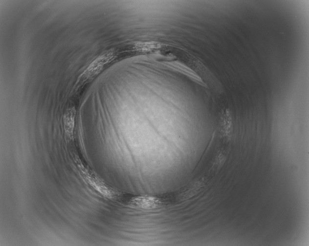 X0000085800427200703301503