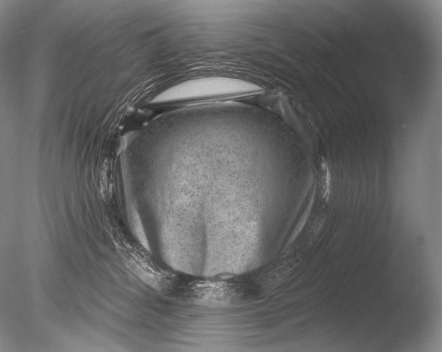 X0000085800428200703301503