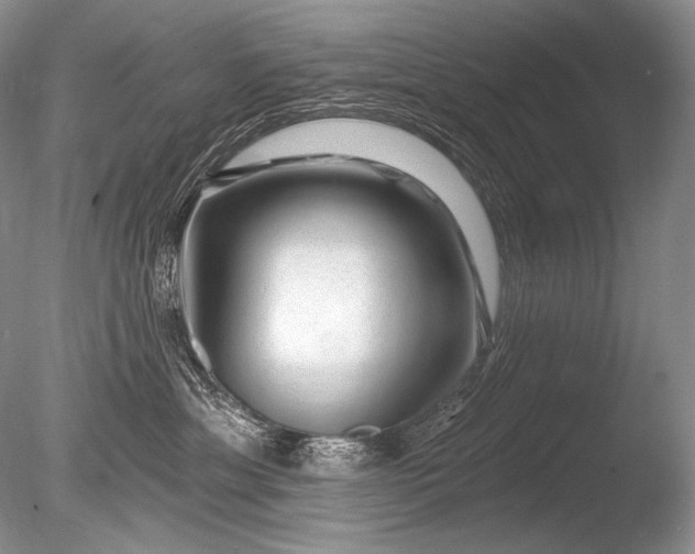 X0000085800429200703301503