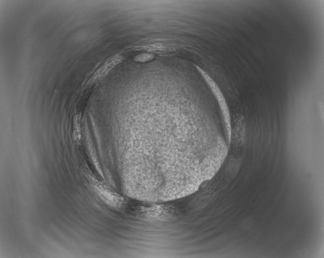 X0000085800430200703301503