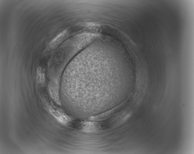 X0000085800432200703301503