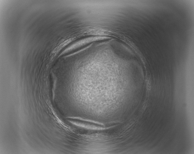 X0000085800433200703301502