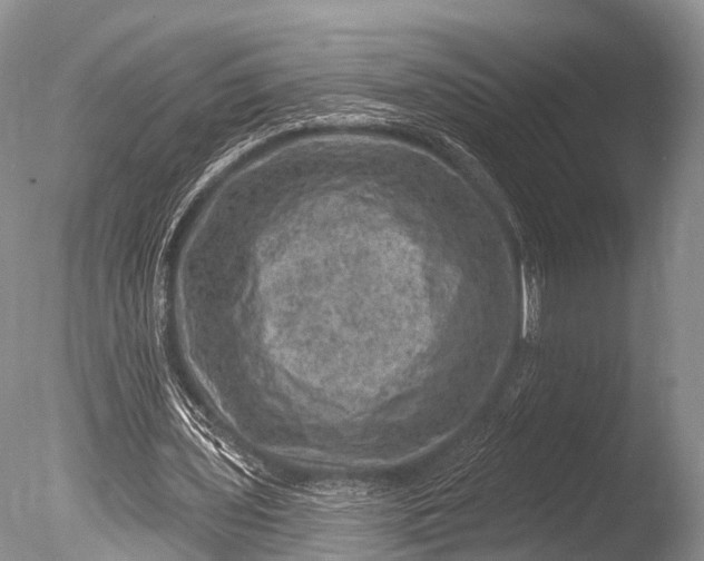 X0000085800435200703301502