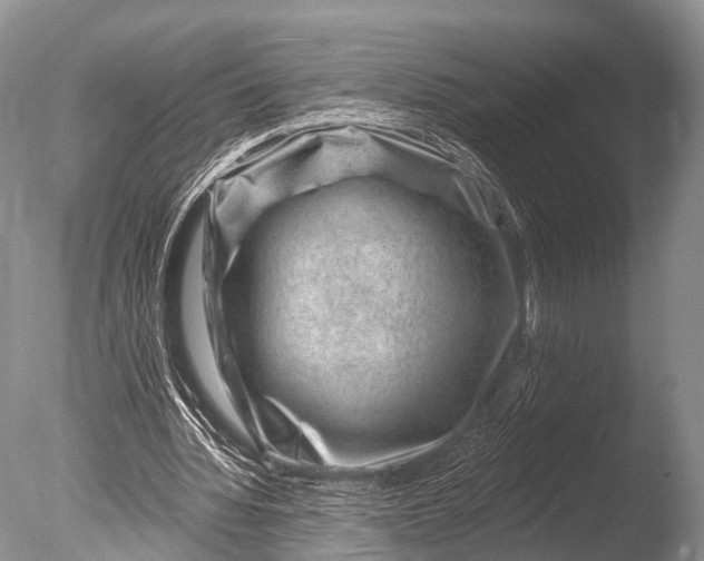 X0000085800436200703301502