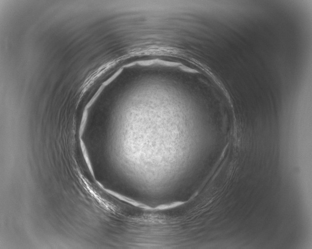 X0000085800437200703301502