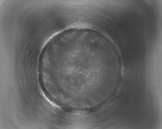 X0000085800438200703301502