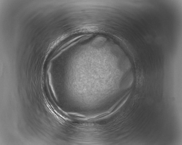 X0000085800439200703301502