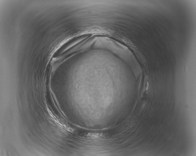 X0000085800440200703301502