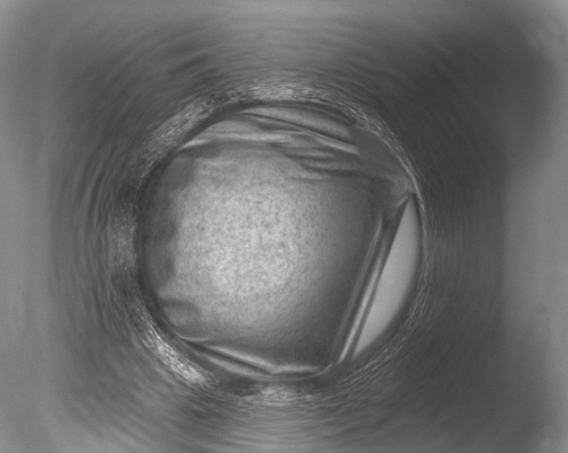 X0000085800441200703301502