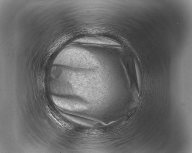 X0000085800443200703301502