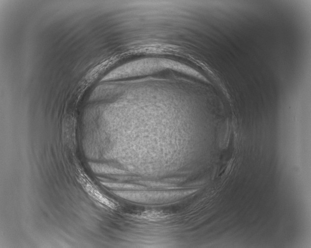 X0000085800445200703301502