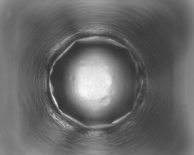 X0000085800446200703301502