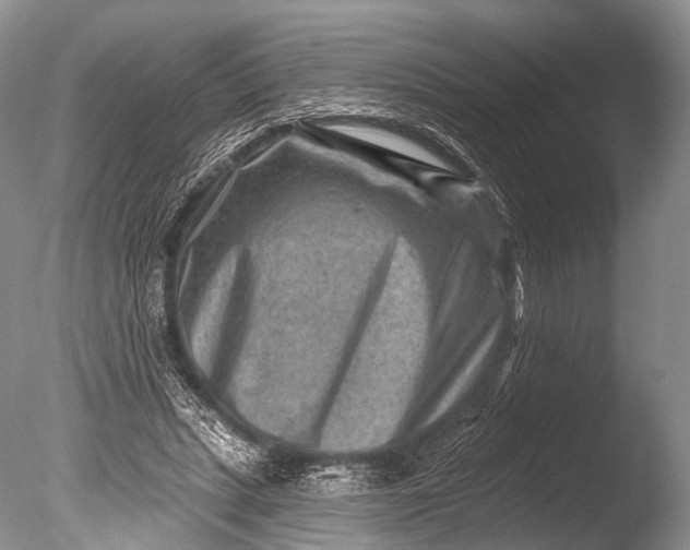 X0000085800447200703301502