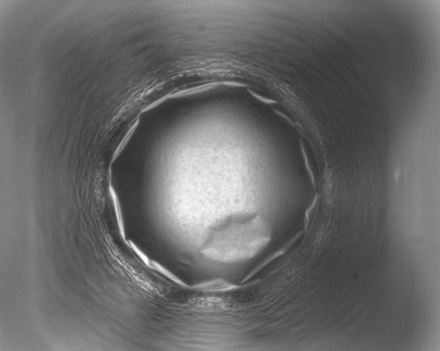 X0000085800449200703301502