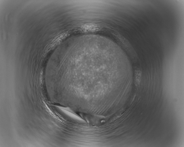 X0000085800451200703301502