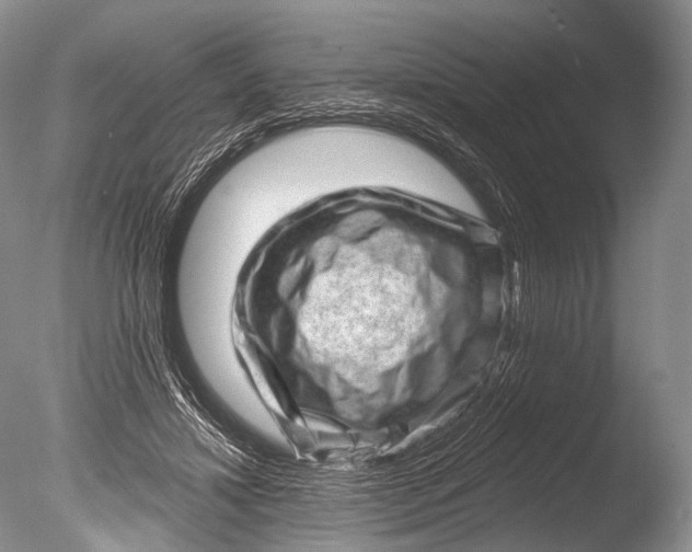 X0000085800452200703301502