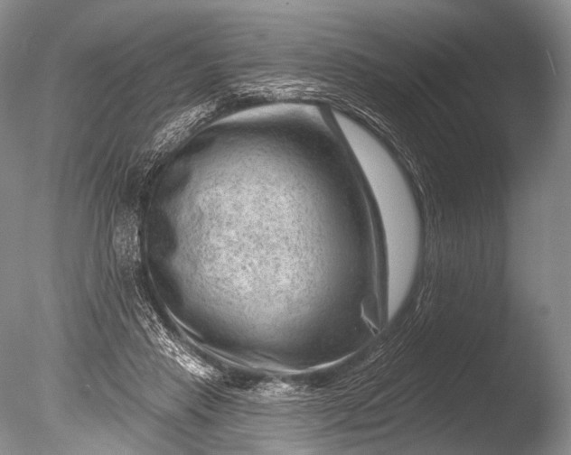 X0000085800453200703301503