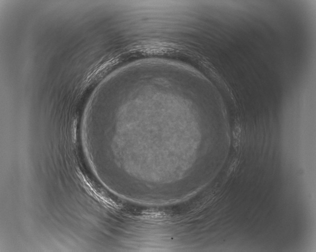 X0000085800454200703301503