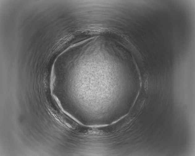 X0000085800455200703301503