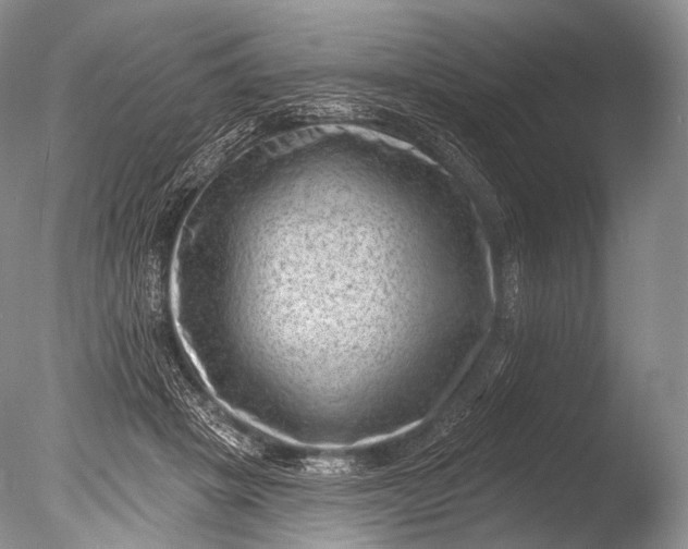 X0000085800457200703301503