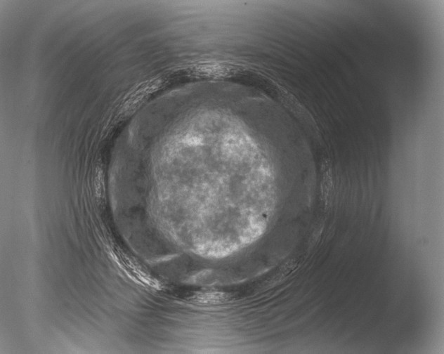 X0000085800459200703301503