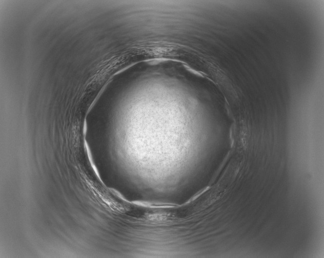 X0000085800461200703301503