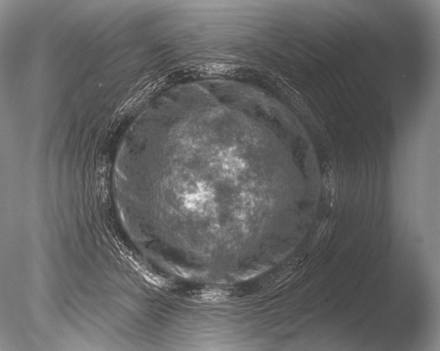 X0000085800462200703301503