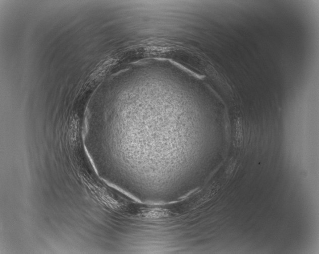 X0000085800463200703301503