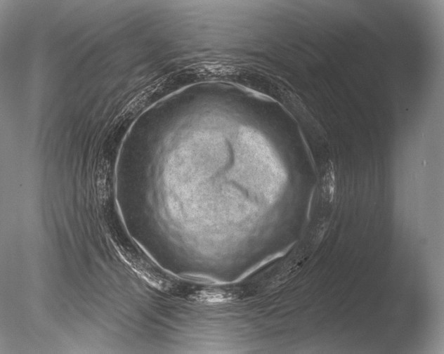 X0000085800464200703301503