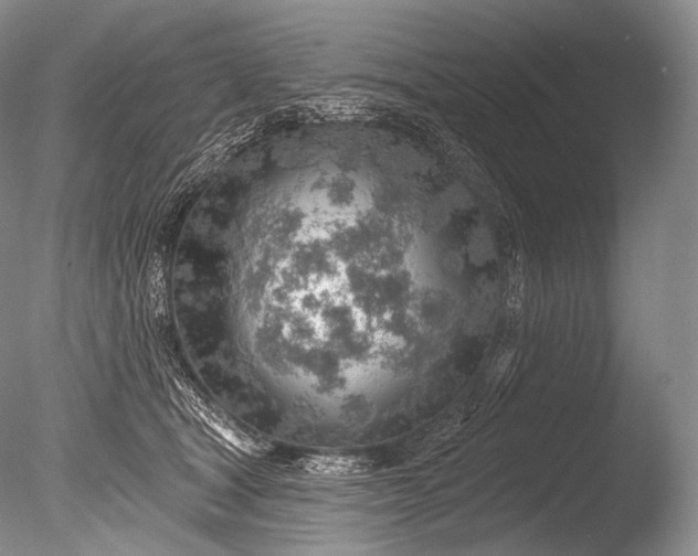 X0000085800465200703301503