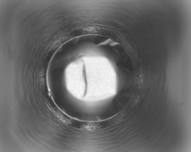 X0000085800466200703301503