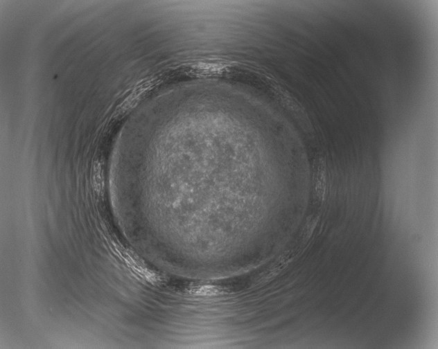 X0000085800467200703301503