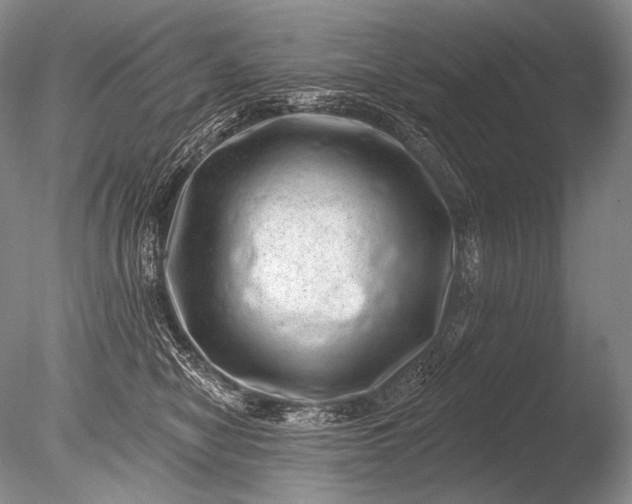 X0000085800470200703301503