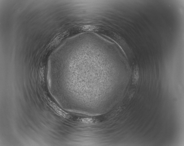 X0000085800473200703301503