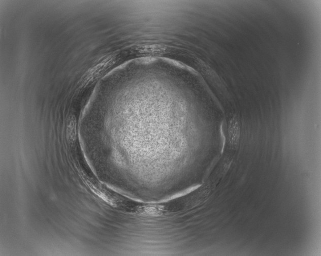 X0000085800474200703301503