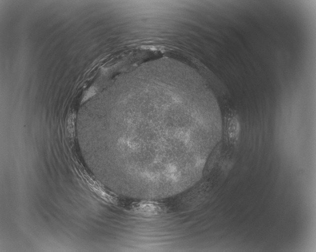 X0000085800475200703301503